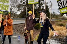 Six people, dressed for a chilly day, holding ONA "Nurses on Strike" picket signs, shout or sing against a gray Oregon sky alongside a road. One man holds the leash of a dog. Most people in the photo appear to be white women.