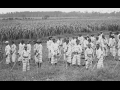 Child convicts at work in the fields.