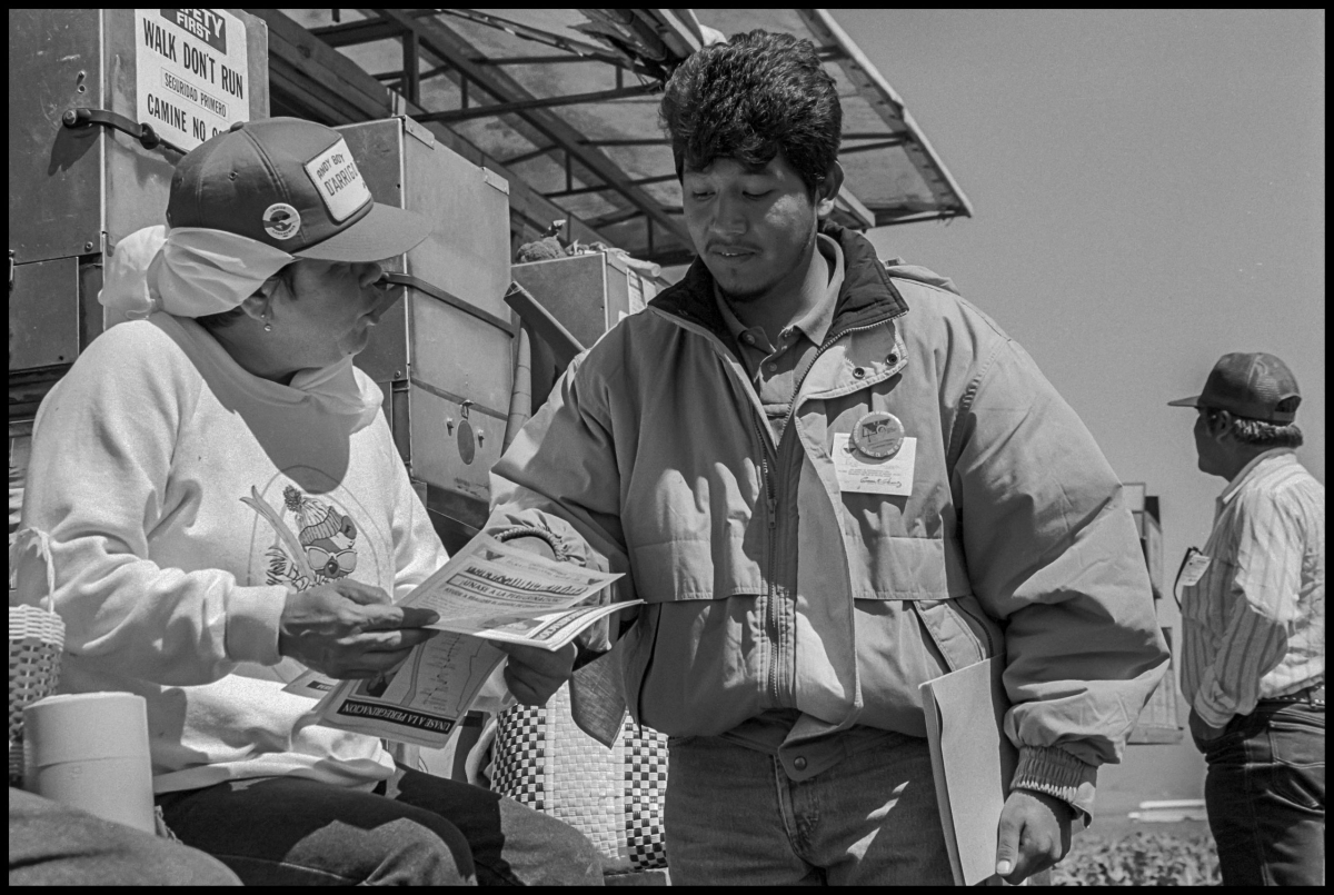 An organizer talks at lunchtime with a D'Arrigo Brothers worker with a union button on her cap.