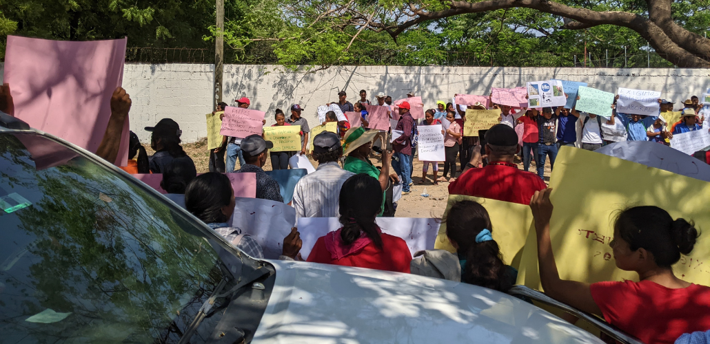 Around 50 people stand outside in a warm, sunny spot, holding homemade signs that are either facing away from us or too far to read. Behind them is a cement wall and a tree against blue sky; the ground looks dusty. In the foreground is a white truck.