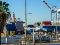 A photo of the ports of L.A. and Long Beach, with a big crane in the background and containers in the foreground, and a palm tree on the far left.