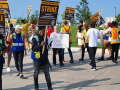 Workers (men and women, Black and white) picket outside in the sunshine. Some carry printed signs that say "Amazon workers on strike" with a Teamsters logo. One carries a hand-written sign that says "Stop the captive audience."