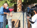 A Latina canvasser wearing a mask and holding a clipboard speaks to an older man leaning on his gate about the election